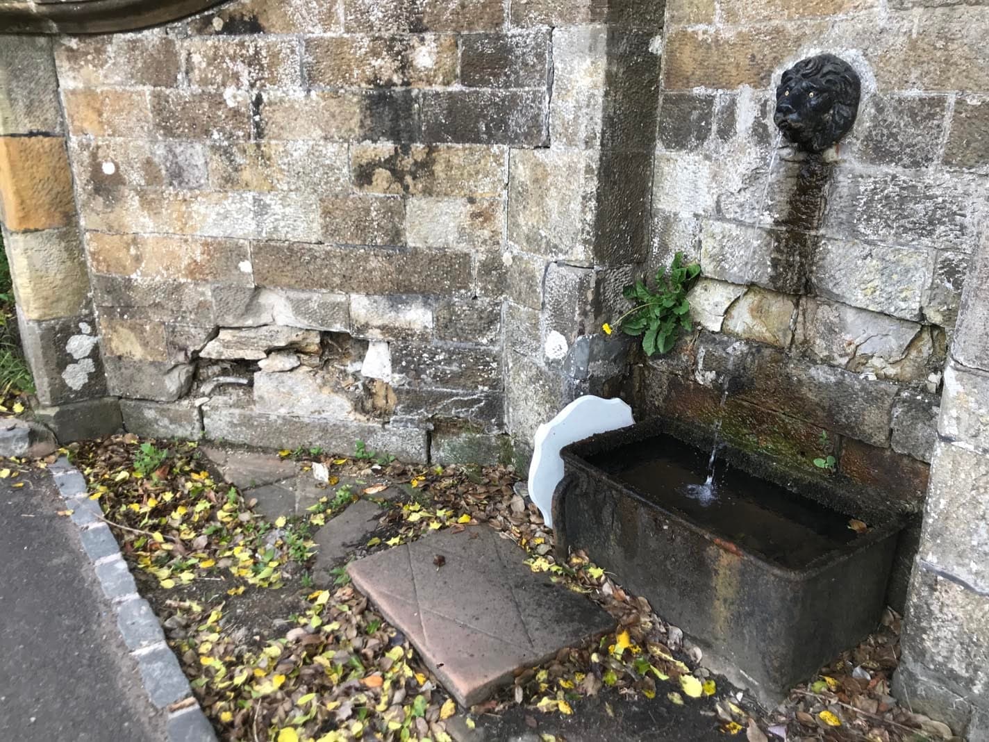 Restoration progress